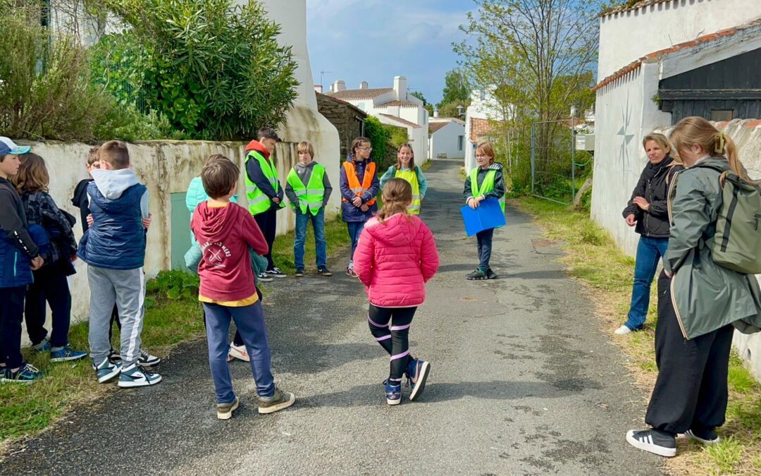 Mini-visites guidées en 6ème