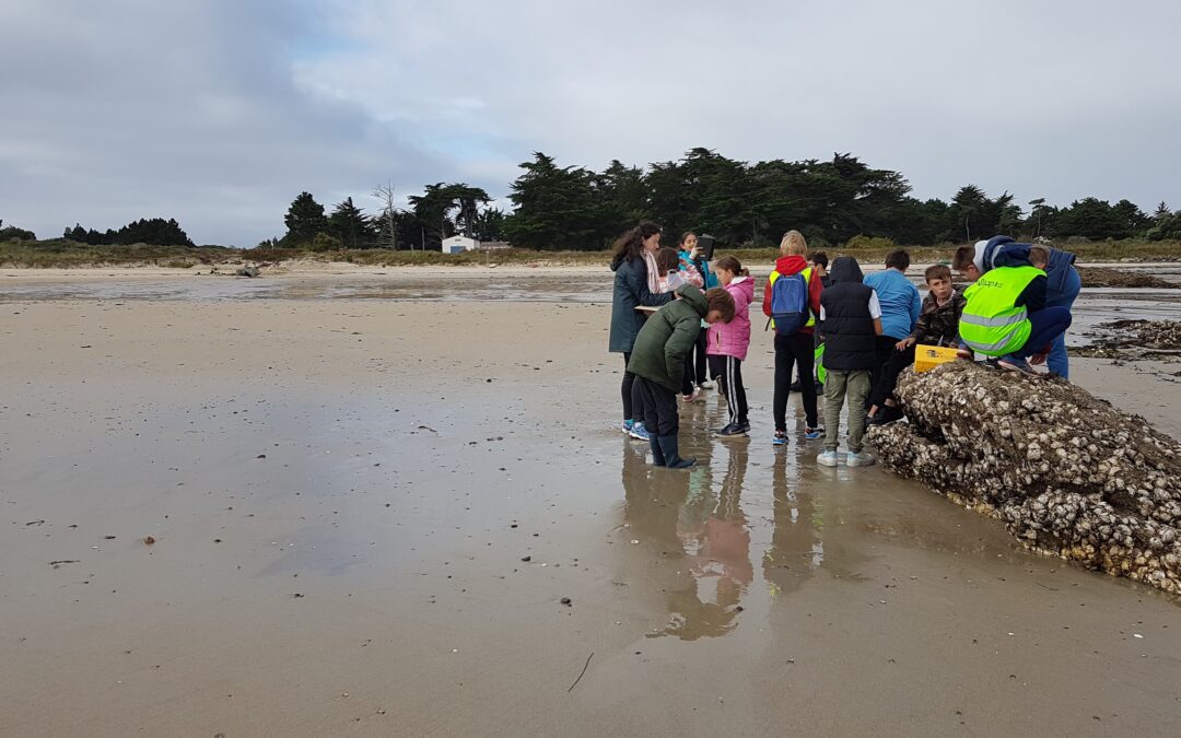 Premier Conseil de la Mer pour les élèves de 6ème !