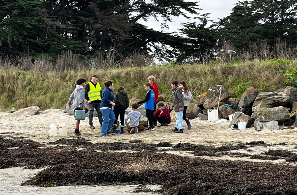 Aire Marine Educative : 2ème sortie pour les 6e plage du Marais Salé